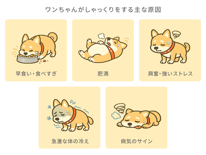 ワンちゃんがしゃっくりをする主な原因