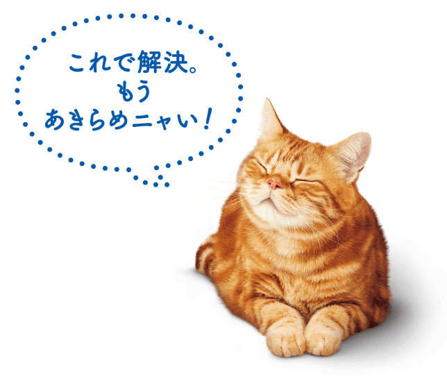 これで解決。もうあきらめニャい！
