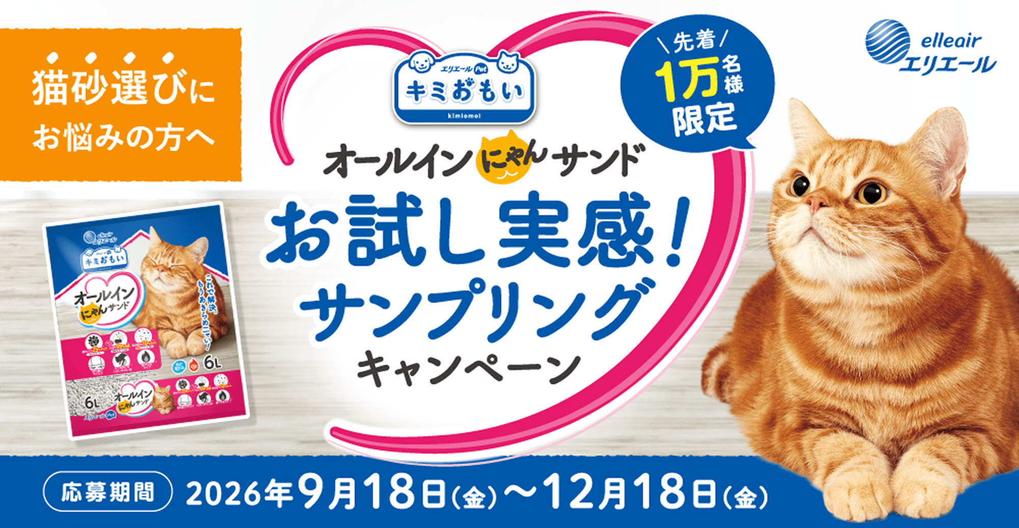 猫砂選びにお悩みの方へ　オールインにゃんサンド お試し実感！サンプリングキャンペーン　先着1万名様限定　【応募期間】2026年9月18日（金）〜12月18日（金）