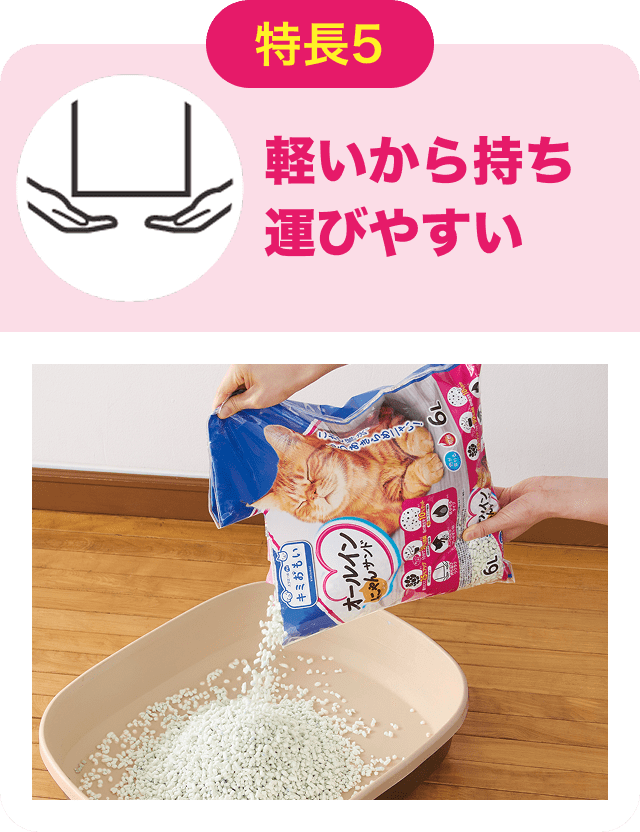 特長5 軽いから持ち運びやすい