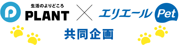 PLANT×エリエールPet共同企画