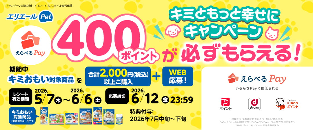 えらべるPay400ポイントが必ずもらえる！キミともっと幸せにキャンペーン