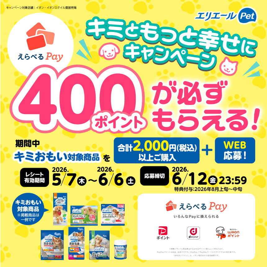 えらべるPay400ポイントが必ずもらえる！キミともっと幸せにキャンペーン