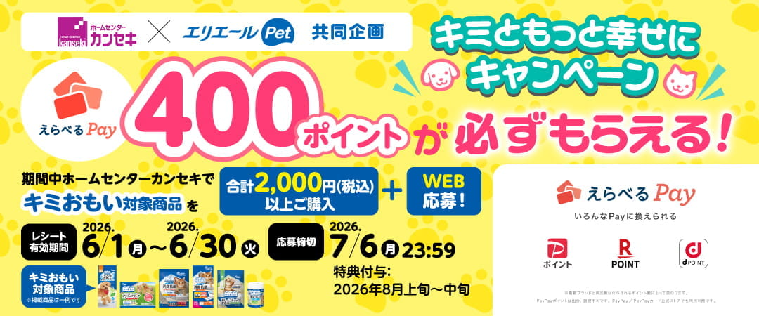 えらべるPay400ポイントが必ずもらえる！キミともっと幸せにキャンペーン