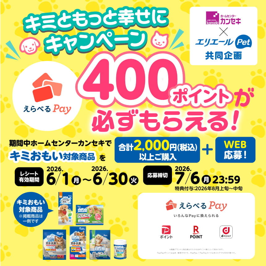 えらべるPay400ポイントが必ずもらえる！キミともっと幸せにキャンペーン