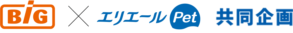 イオンビッグ×エリエールPet共同企画