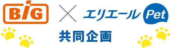 イオンビッグ×エリエールPet共同企画
