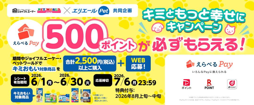 えらべるPay400ポイントが必ずもらえる！キミともっと幸せにキャンペーン