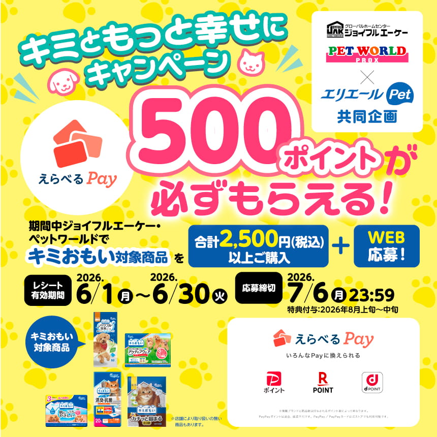 えらべるPay400ポイントが必ずもらえる！キミともっと幸せにキャンペーン