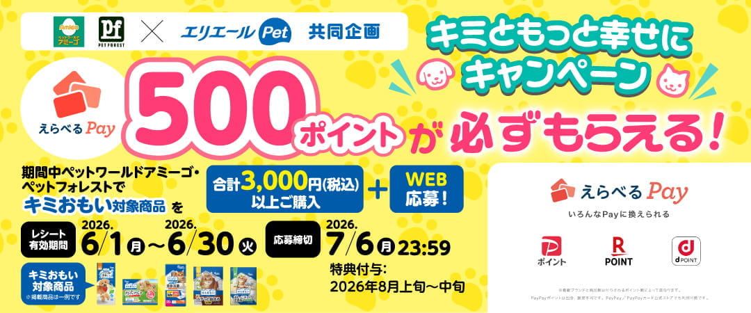 えらべるPay500ポイントが必ずもらえる！キミともっと幸せにキャンペーン