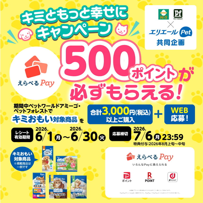 えらべるPay500ポイントが必ずもらえる！キミともっと幸せにキャンペーン