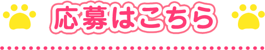 応募はこちら