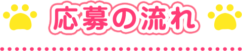 応募の流れ