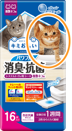 エリエールPet キミおもい パワフル消臭・抗菌・システムトイレ用シート複数ネコ用