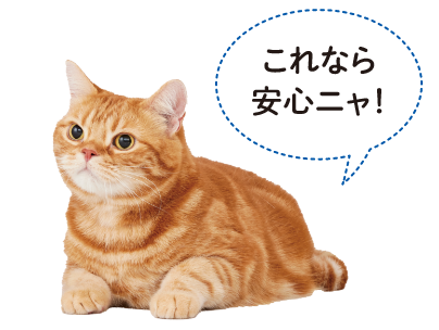 粉の発生が少なく、安心して使えるイメージ