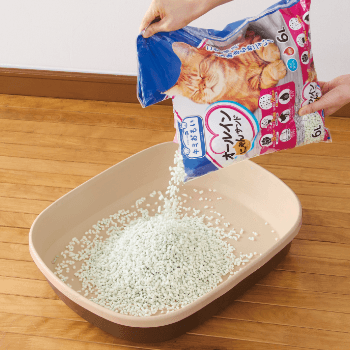 オールインにゃんサンドをトイレに注ぐ