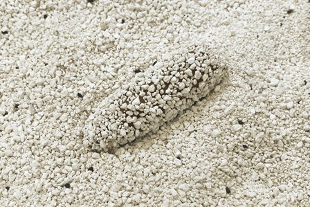 ※うんちコーティング イメージ図