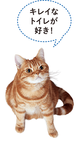 キレイなトイレが好き！