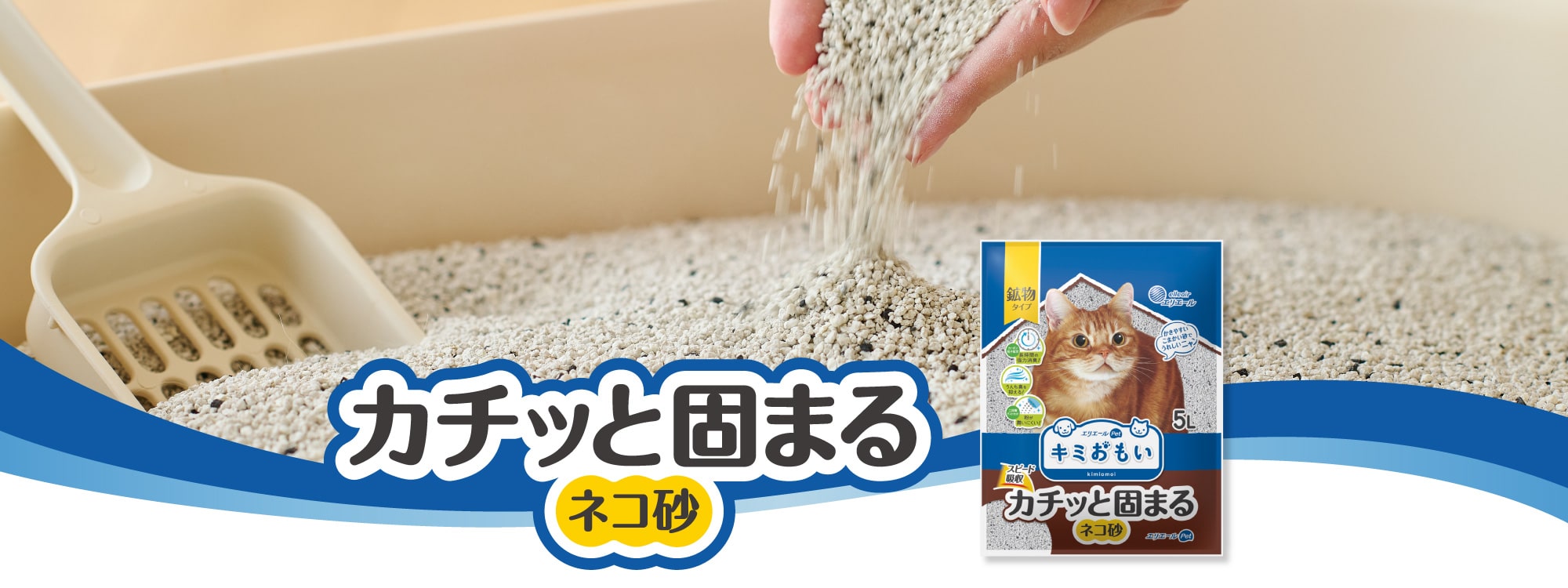 カチッと固まる ネコ砂