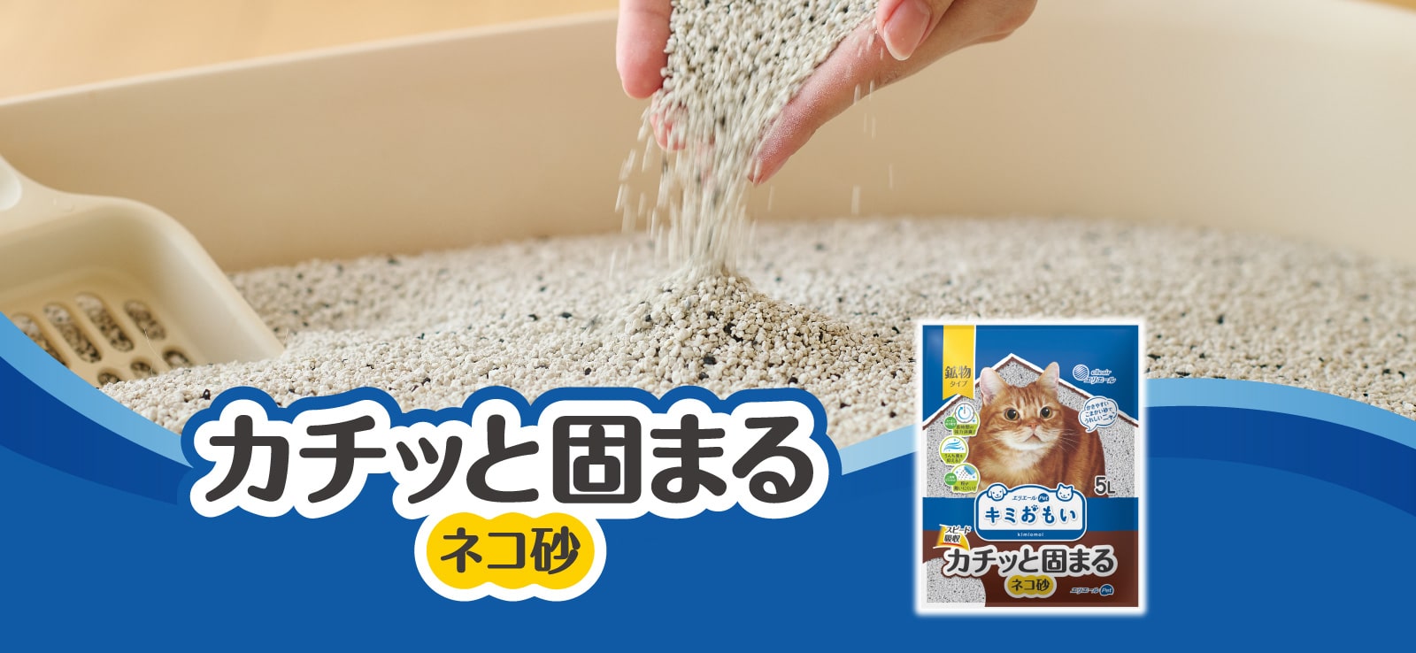 カチッと固まるネコ砂