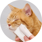 猫ちゃんの口まわりを拭くイメージ図