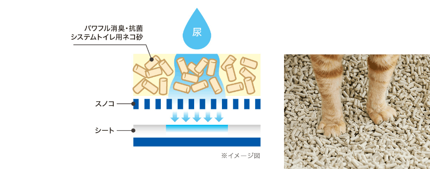 システムトイレ用猫砂の高い透水率と粒強度の向上 ※イメージ図
