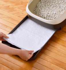 システムトイレ用シートのセット方法2：シートをセットする