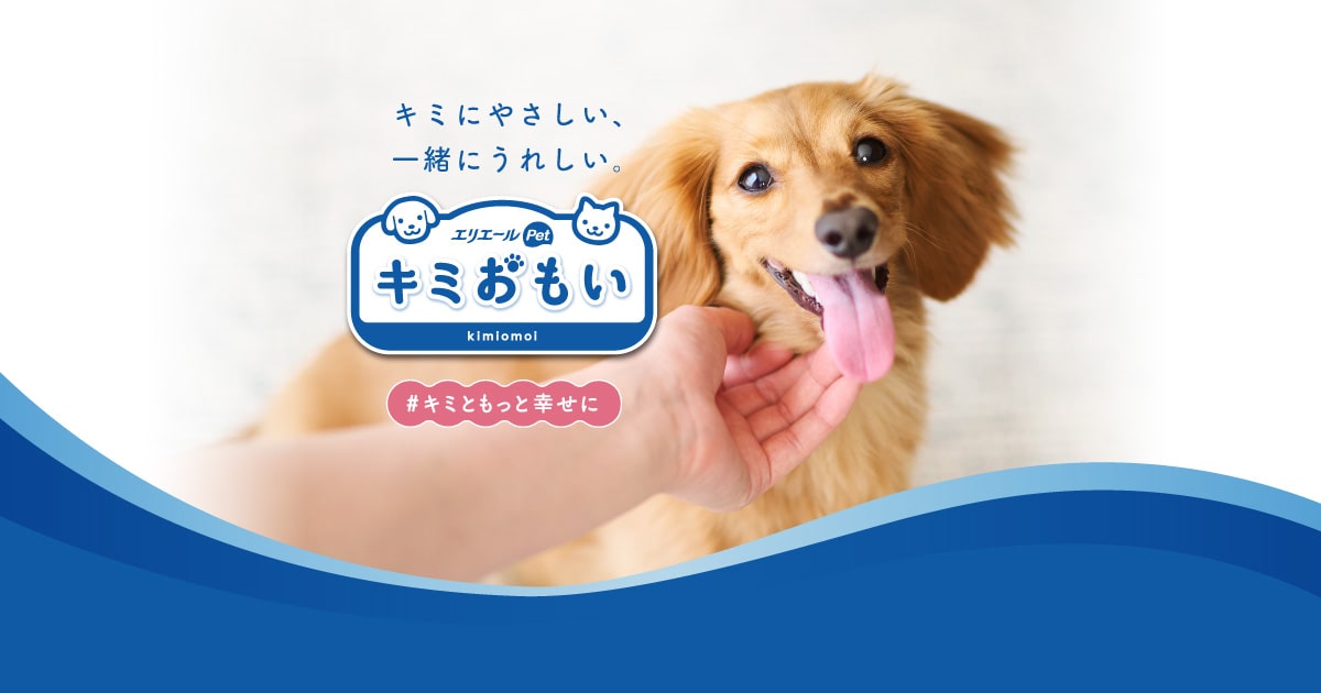 Dog - ワンちゃん -｜キミおもい｜エリエール｜大王製紙