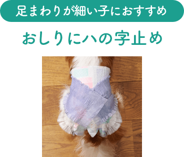 足まわりが細い子におすすめの「おしりにハの字止め」