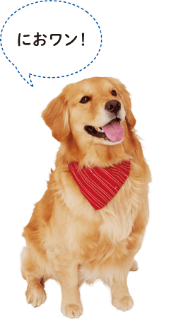 「におワン！」（消臭効果を実感する犬のイラスト）