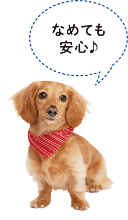 なめても安心♪