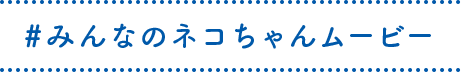 #みんなのネコちゃんムービー