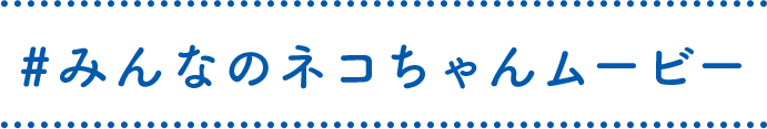 #みんなのネコちゃんムービー