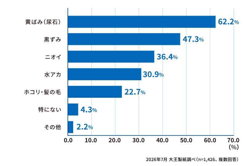 トイレ掃除で特にきれいにするのが大変だと感じる汚れは何ですか？