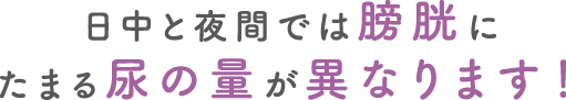 日中と夜間では膀胱にたまる尿の量が異なります！