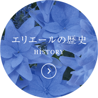 エリエールの歴史 HISTORY
