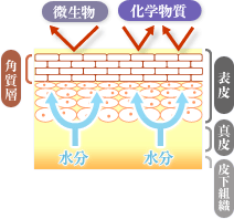 生理 ナプキン かぶれ