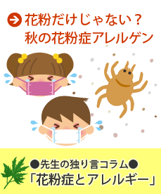花粉だけじゃない? 秋の花粉症アレルゲン 先生の独り言コラム「花粉症とアレルギー」